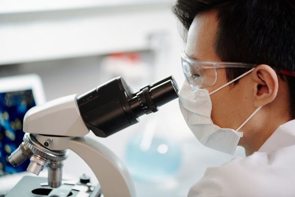 המקצוע ללא גבולות: תואר ראשון שמחליף את המשווה