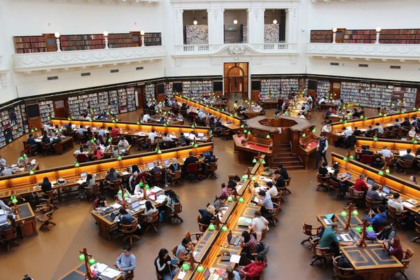 מומחה לייעוץ חינוכי לתואר ראשון באוניברסיטת בר אילן