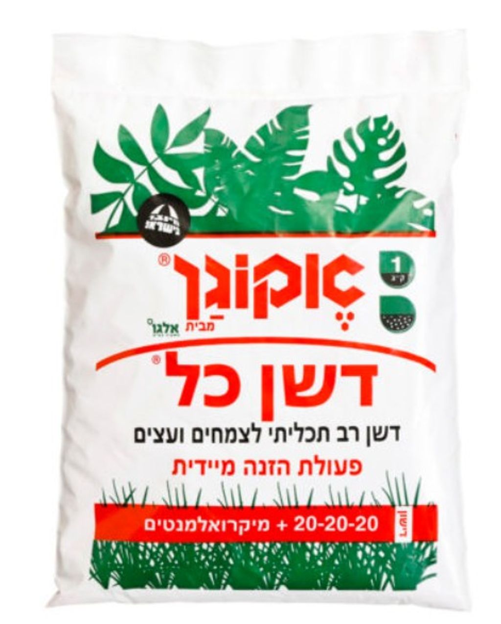 עמיר בעיר דשן